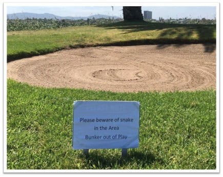 Please beware of snakes in the area | Bunker out of Play